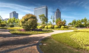 2024年矿用车行业发展概况及发展趋势分析(图2)