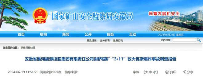9死15伤！淮河能源控股集团谢桥煤矿3·11较大事故调查报告公布