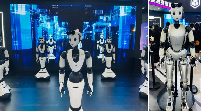 WAIC2024：被颠覆的远不止大模型｜AI百业共生(图12)