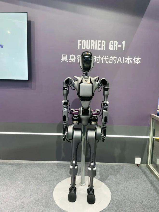 WAIC2024：被颠覆的远不止大模型｜AI百业共生(图14)