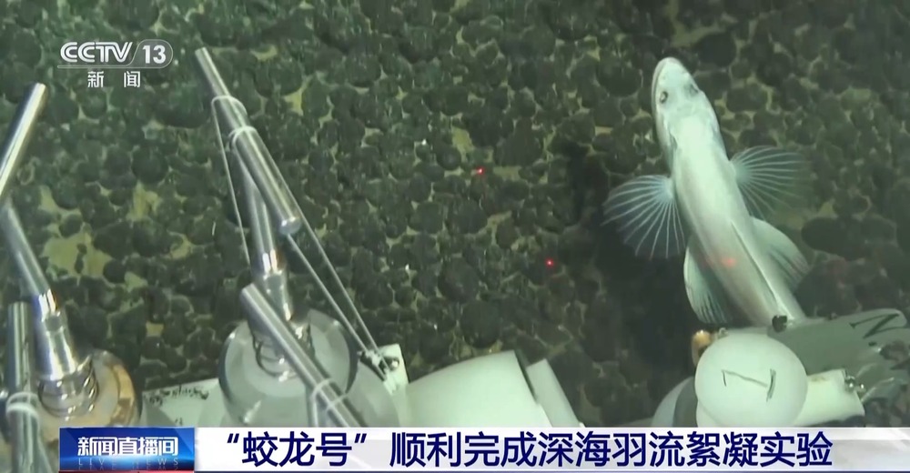 “蛟龙号”顺利完成深海羽流絮凝实验