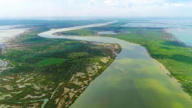 黄河调水调沙20多年治沙效果明显下游却陷入了“流鱼之困”(图7)