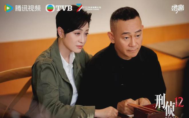 《刑侦12》大结局：傅洋山是最大反派！丁洛风第9人格竟是陈慧珊(图2)