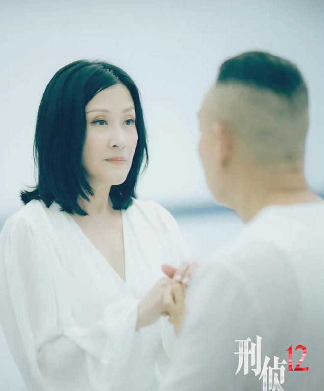 《刑侦12》大结局：傅洋山是最大反派！丁洛风第9人格竟是陈慧珊(图1)
