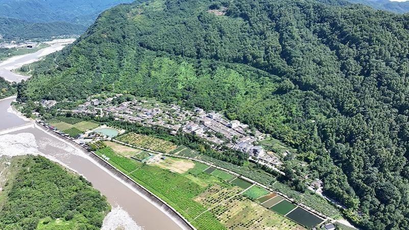 四川绵竹：解锁“靠山吃山”密码走好绿色发展新路(图1)