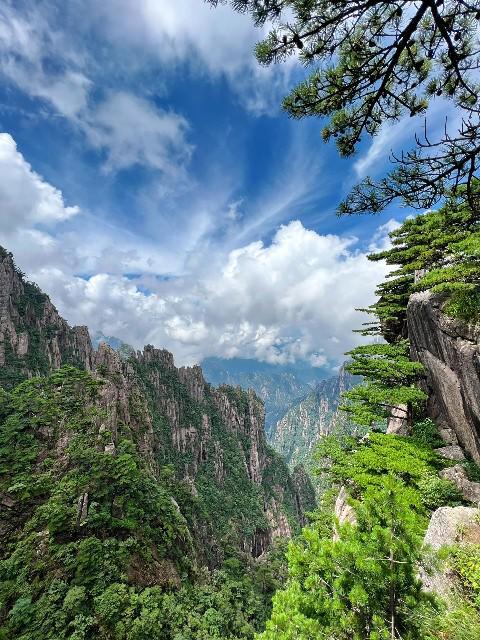 月底报团到黄山旅游5天详细行程花费详细攻略分享旅游攻略(图2)