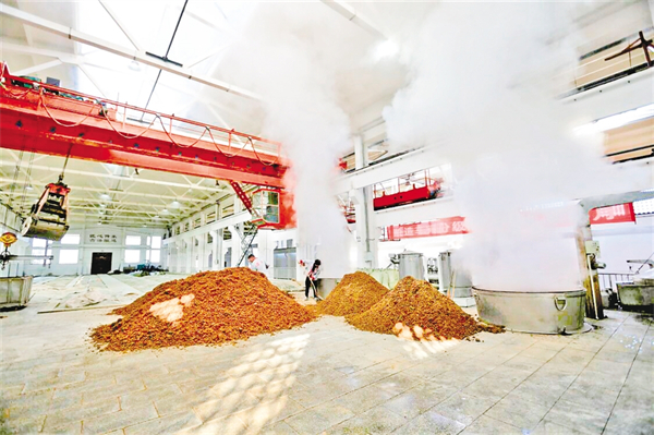 活力澎湃新潮涌——汉滨区以项目建设引领高质量发展侧记-安康新闻网(图5)