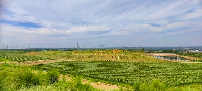 节约集约的山东实践日照莒县:矿坑地上长出新“良田”(图1)