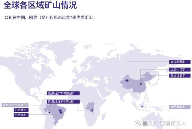 一天读懂一家民营企业500强——NO30洛阳钼业(图5)