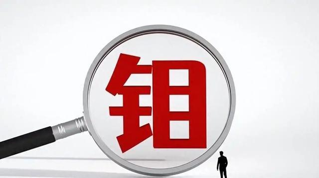 一天读懂一家民营企业500强——NO30洛阳钼业(图6)