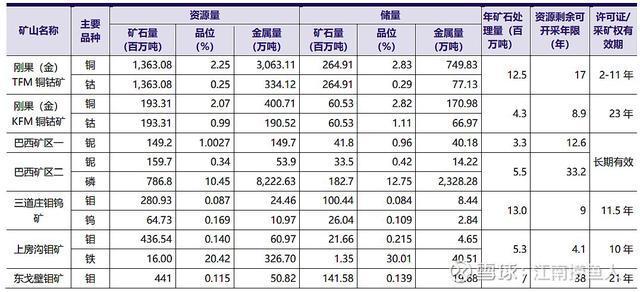 一天读懂一家民营企业500强——NO30洛阳钼业(图4)
