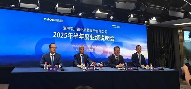 一天读懂一家民营企业500强——NO30洛阳钼业(图11)