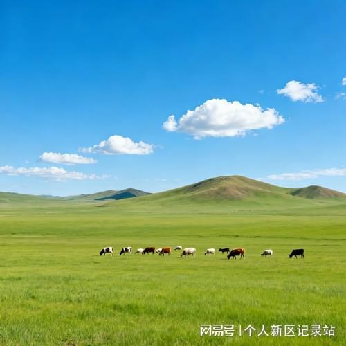 20256寸液压合页推荐定制研发厂家-温州鼎航智能五金(图1)