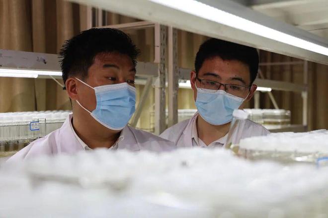 潍坊青州：集聚科技向“新”力塑造科创发展新生态(图3)