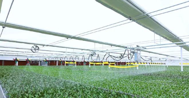 潍坊青州：集聚科技向“新”力塑造科创发展新生态(图4)