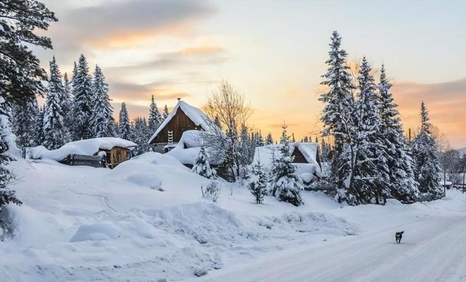 普京没想到导致俄罗斯一蹶不振的不是俄乌冲突而是中美博弈(图17)